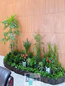 绍兴企业大厅绿植组合摆放